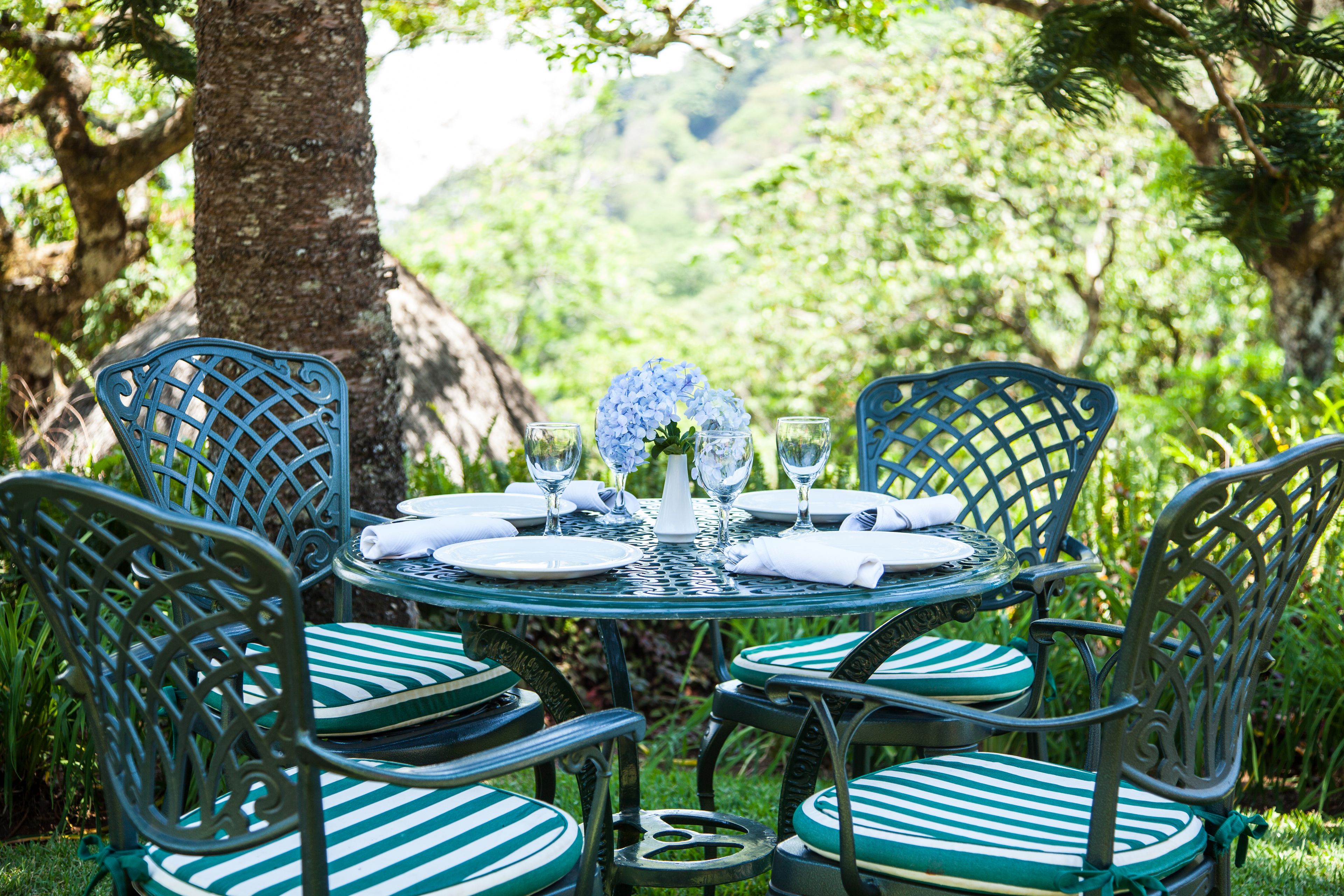 international cuisine