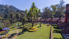 Vista al jardín
