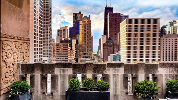 A rooftop terrace with a city skyline view, featuring a mix of modern and classic architecture, and several potted plants.