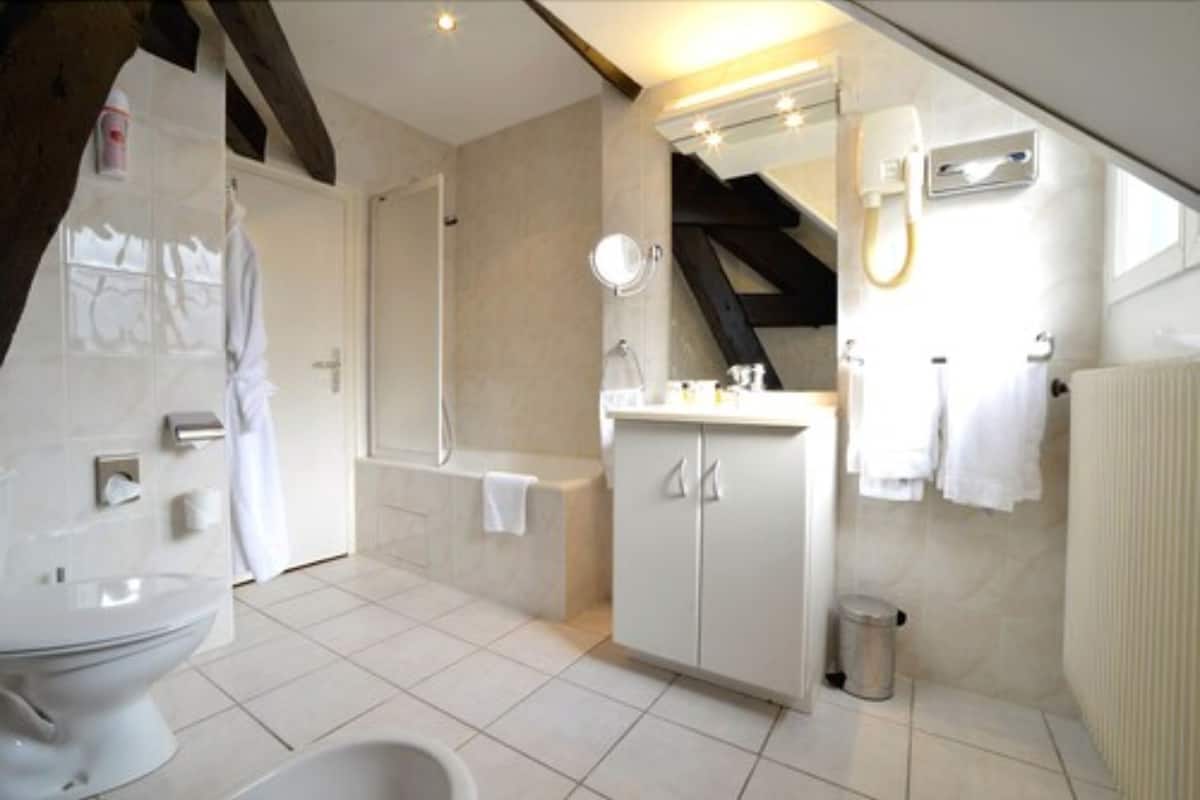 Combined shower/tub, free toiletries, hair dryer, towels
