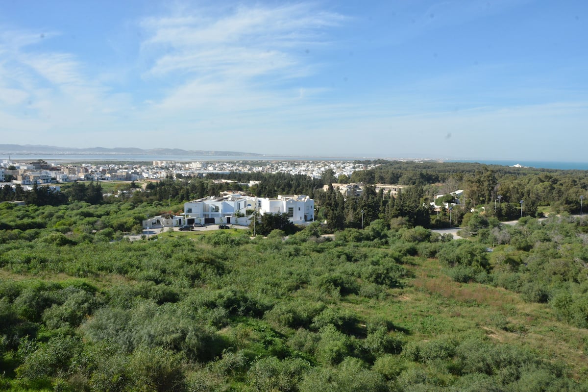 Vista dalla camera