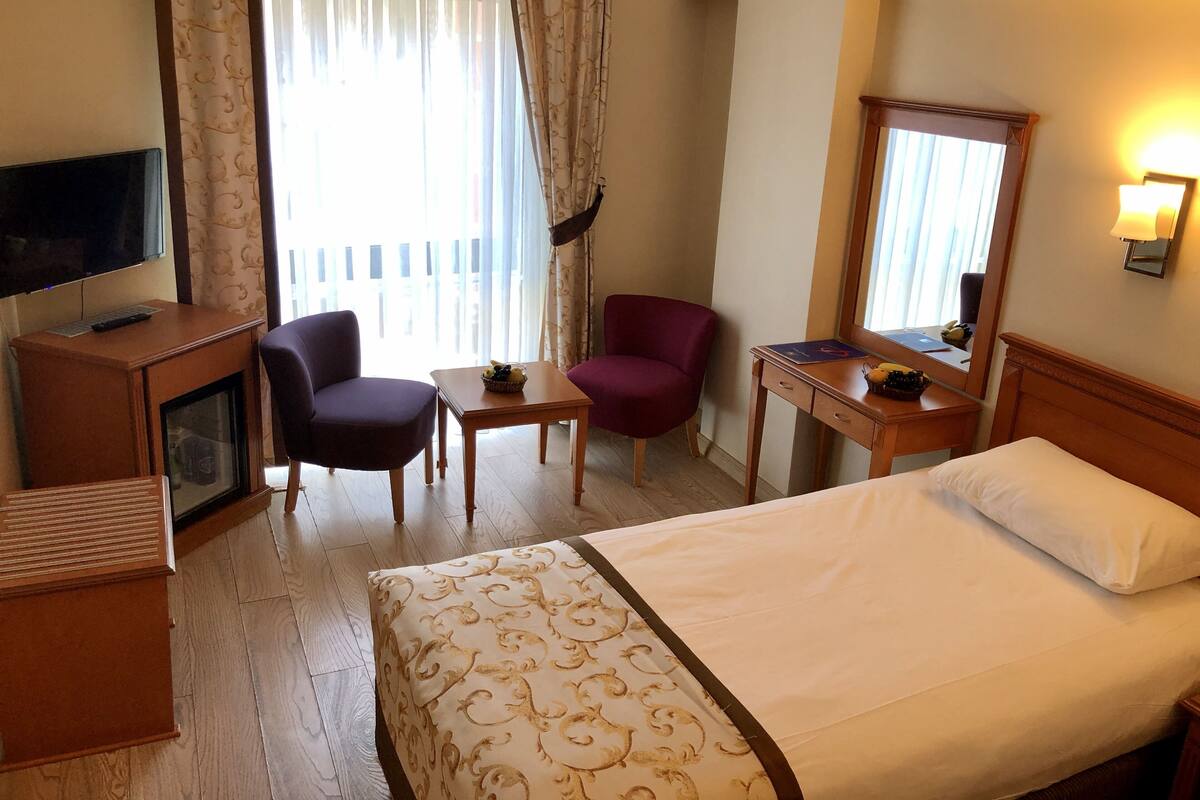 A hotel room with a bed, a desk, a chair, a television, and a window with curtains.