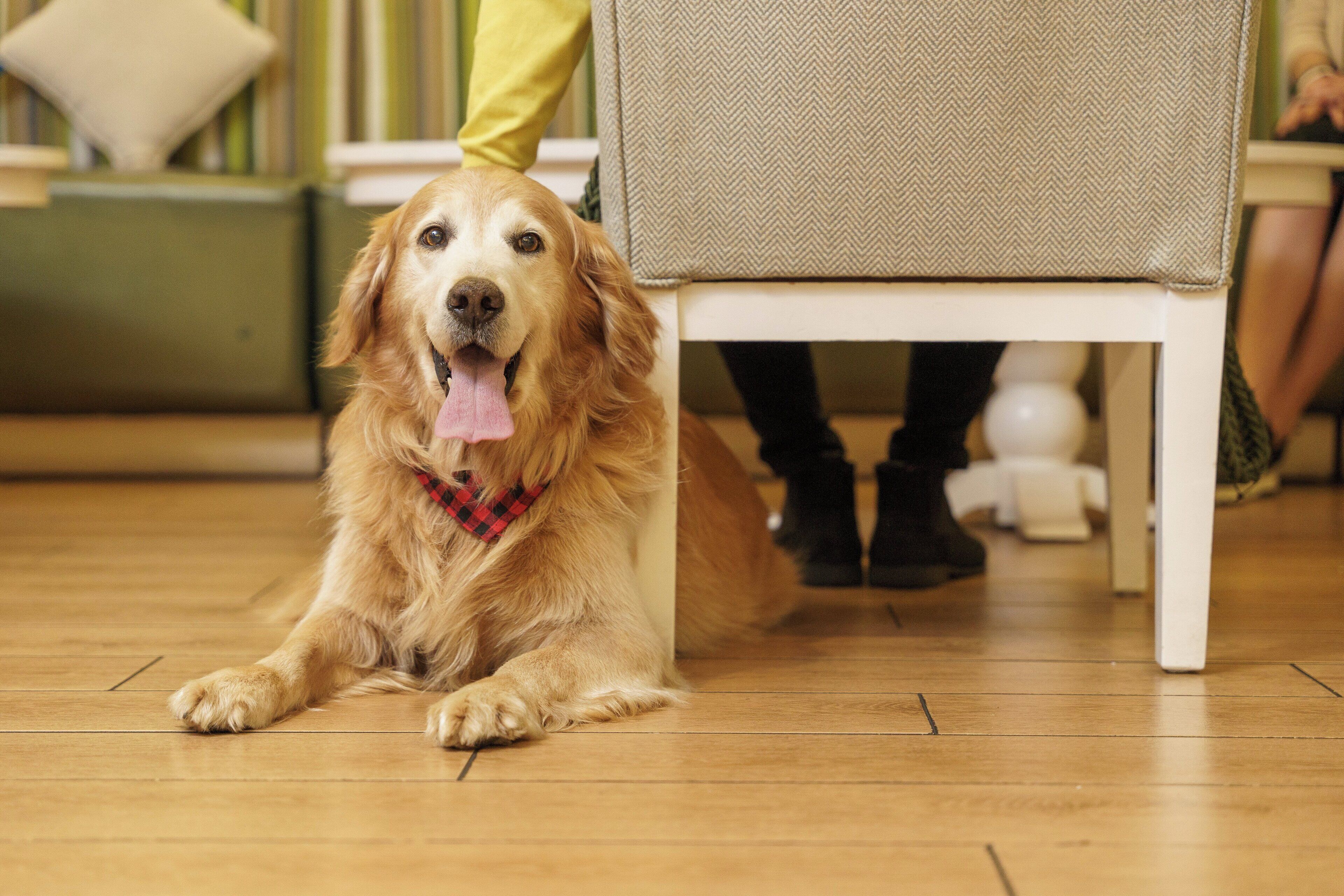 Photo - Intercontinental Real Guatemala by IHG