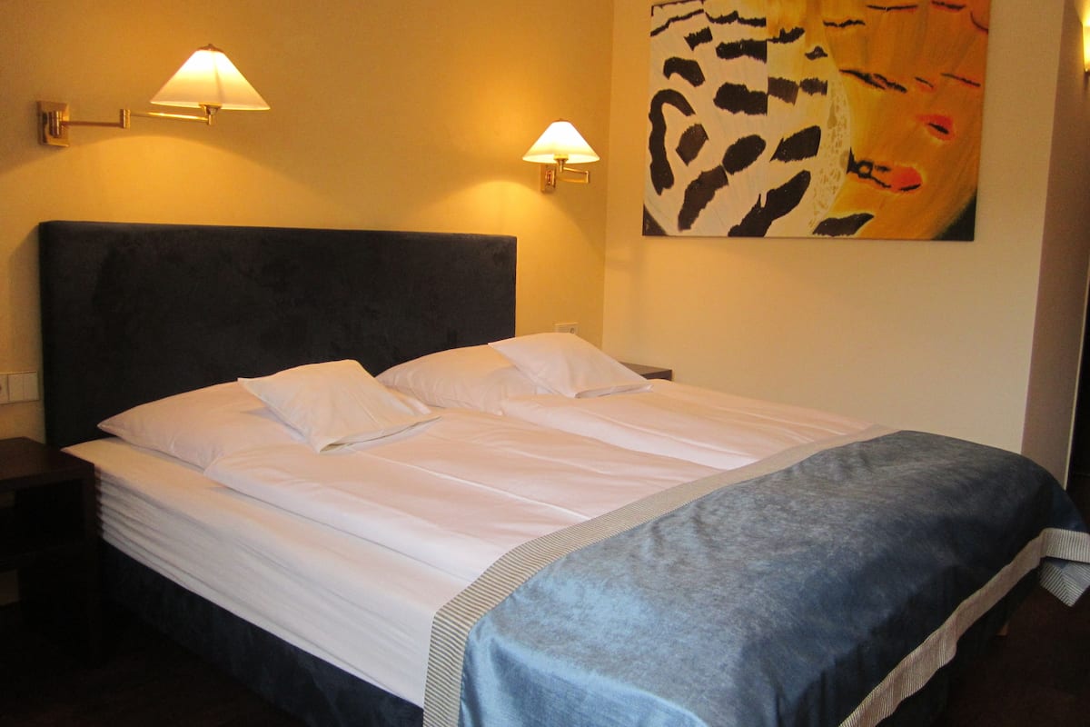 Standard-Doppelzimmer | Allergikerbettwaren, Minibar, Zimmersafe, Schreibtisch
