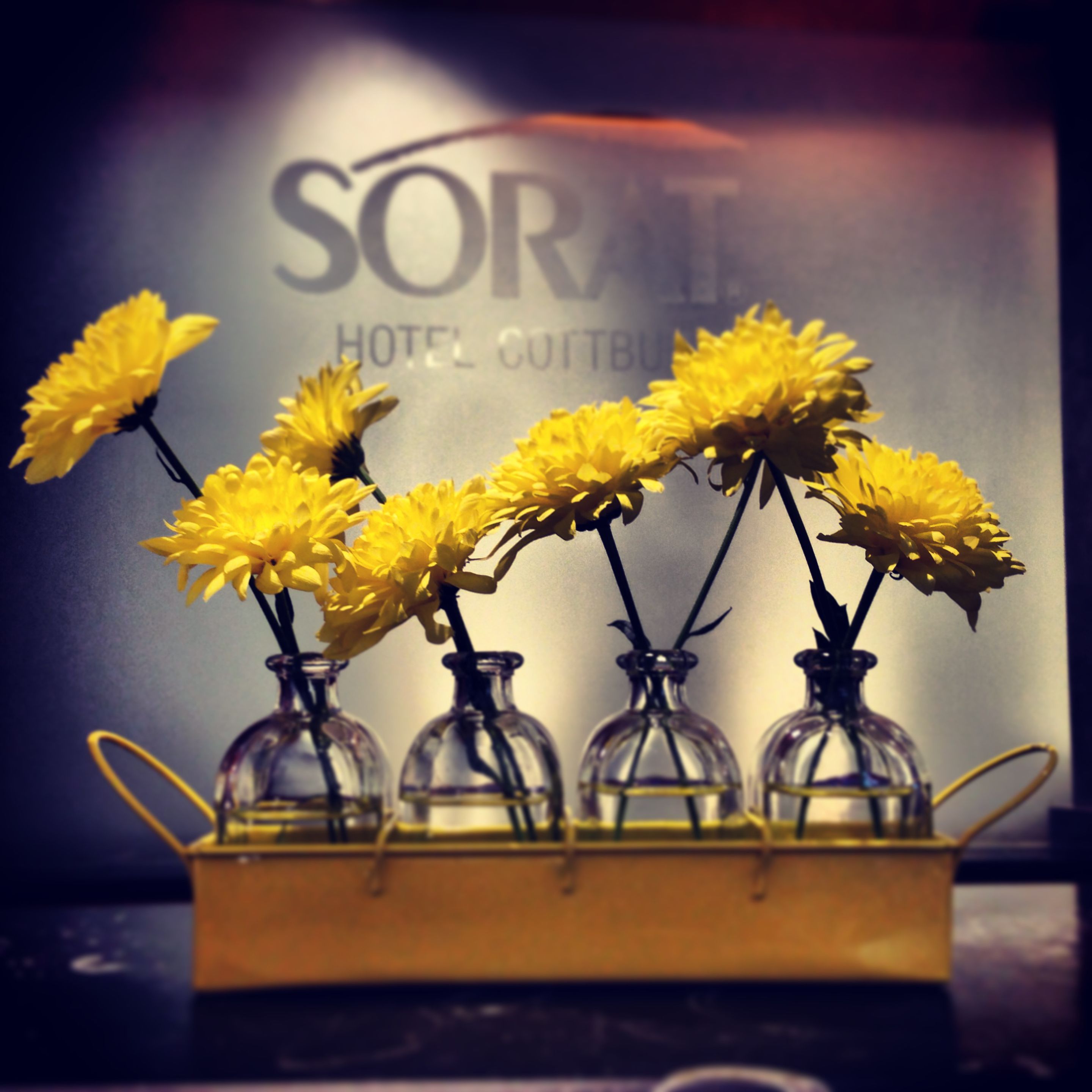 A row of glass vases with yellow flowers on a wooden tray.