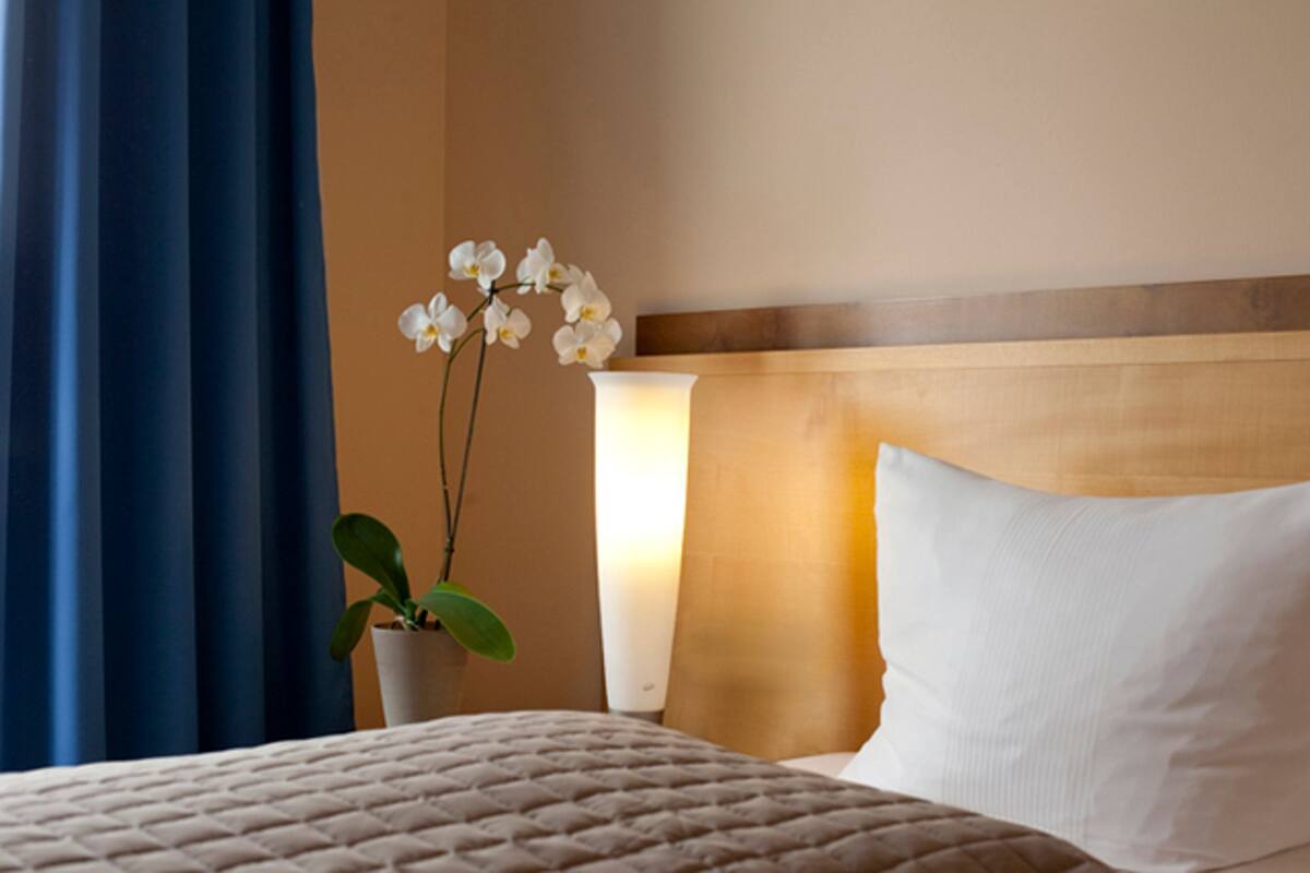 A hotel room with a bed, a potted orchid, a bedside lamp, and a wooden headboard.