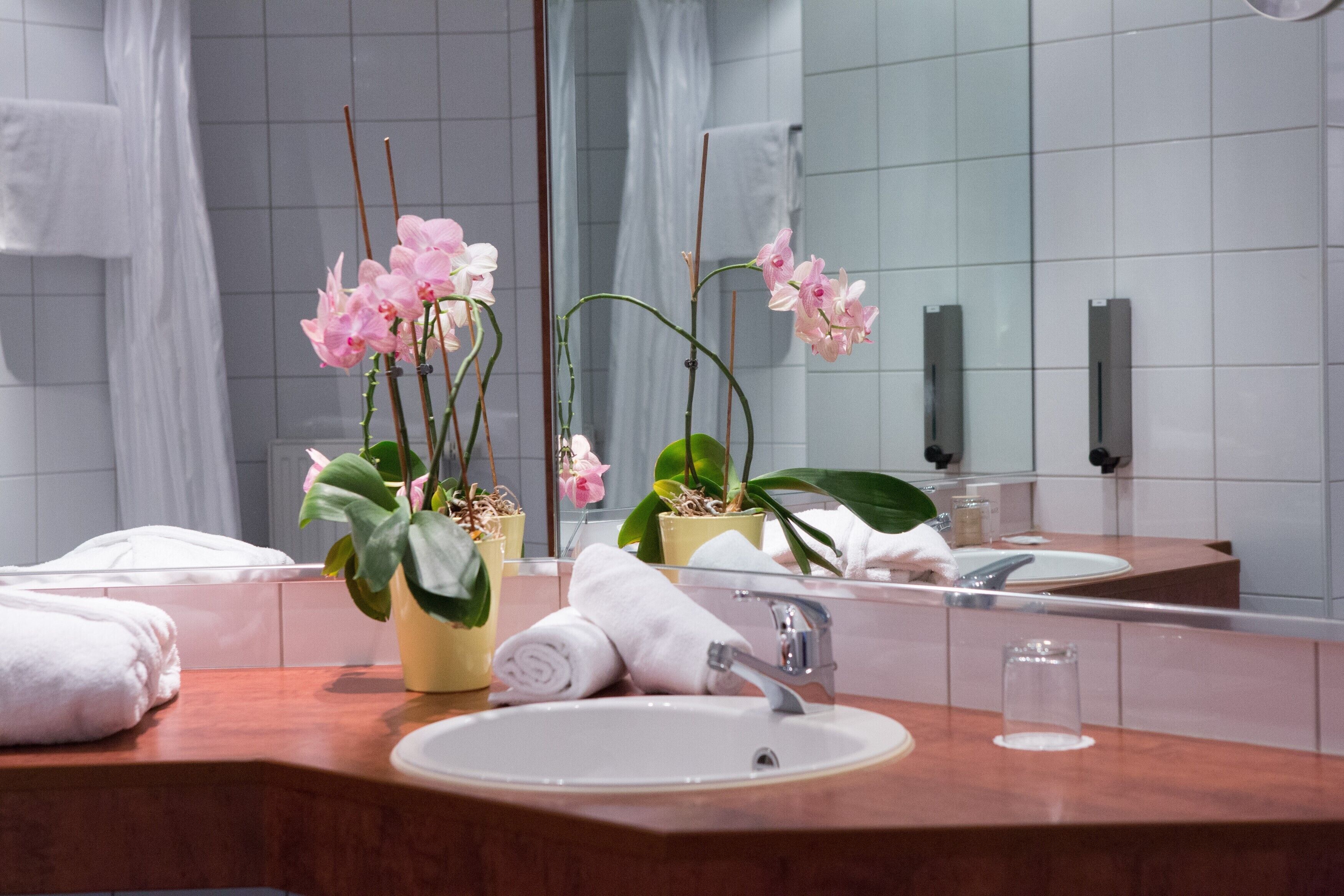 Foto - Amedia Frankfurt Russelsheim Trademark Collection by Wyndham