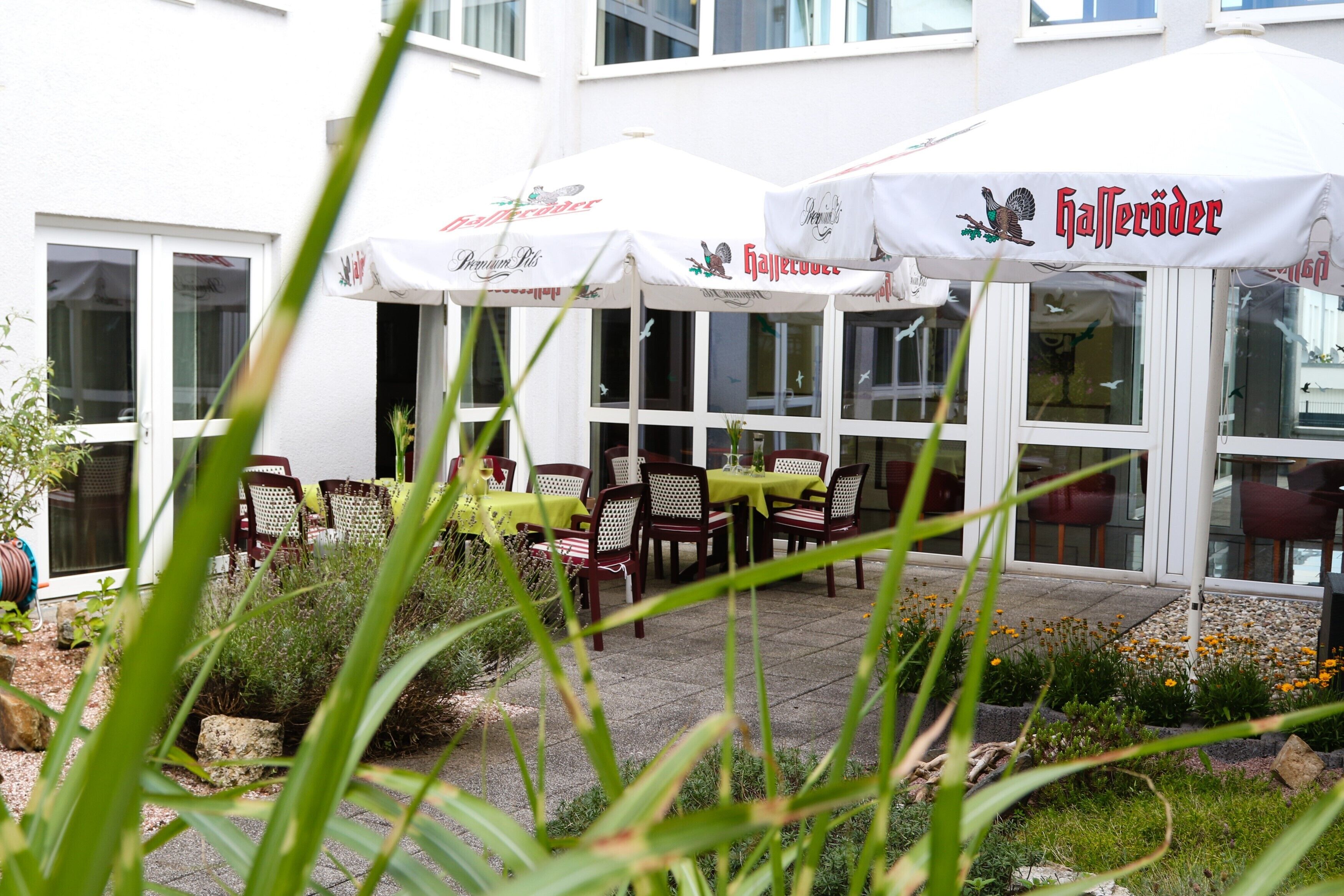 Foto - Amedia Frankfurt Russelsheim Trademark Collection by Wyndham