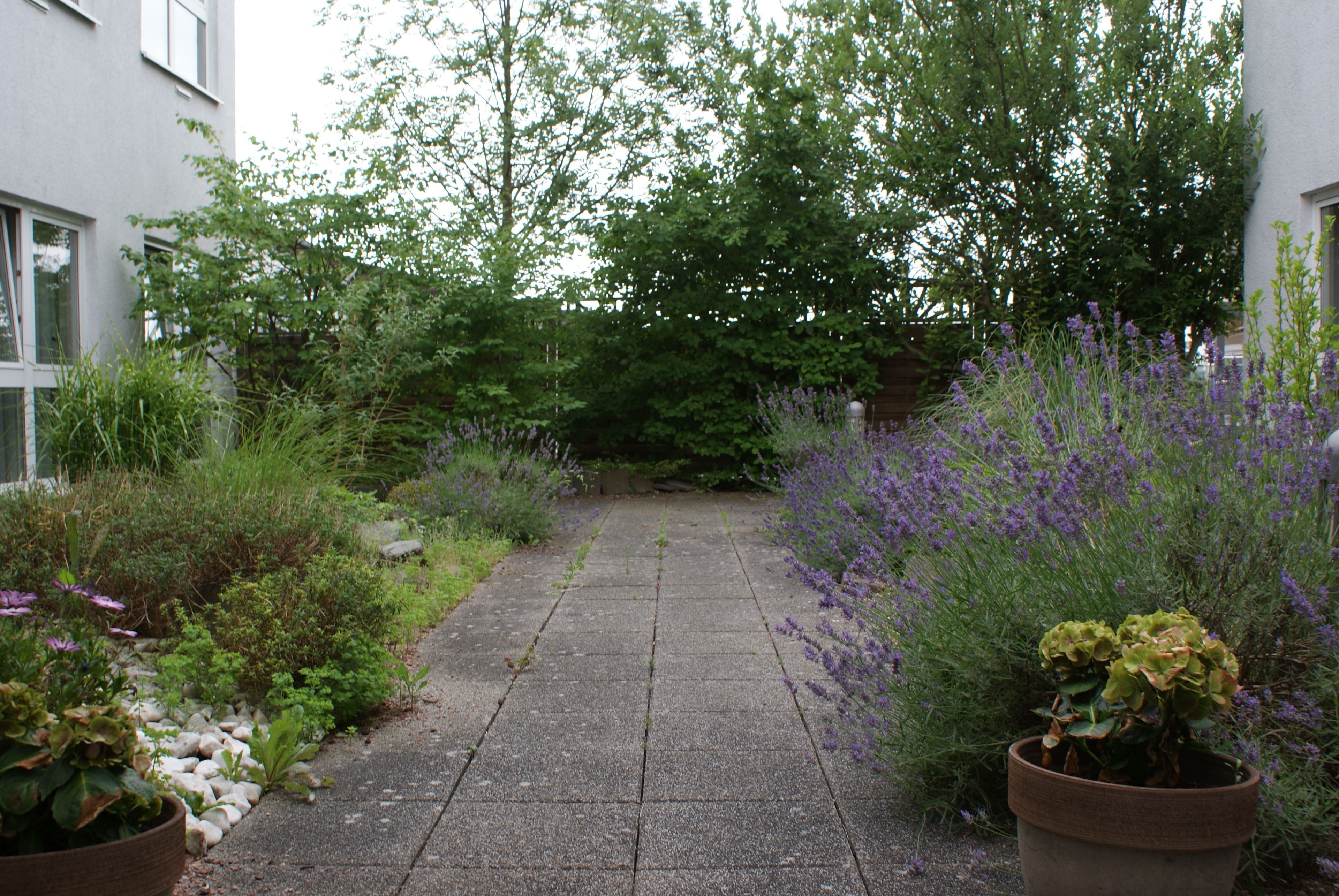 Foto - Amedia Frankfurt Russelsheim Trademark Collection by Wyndham