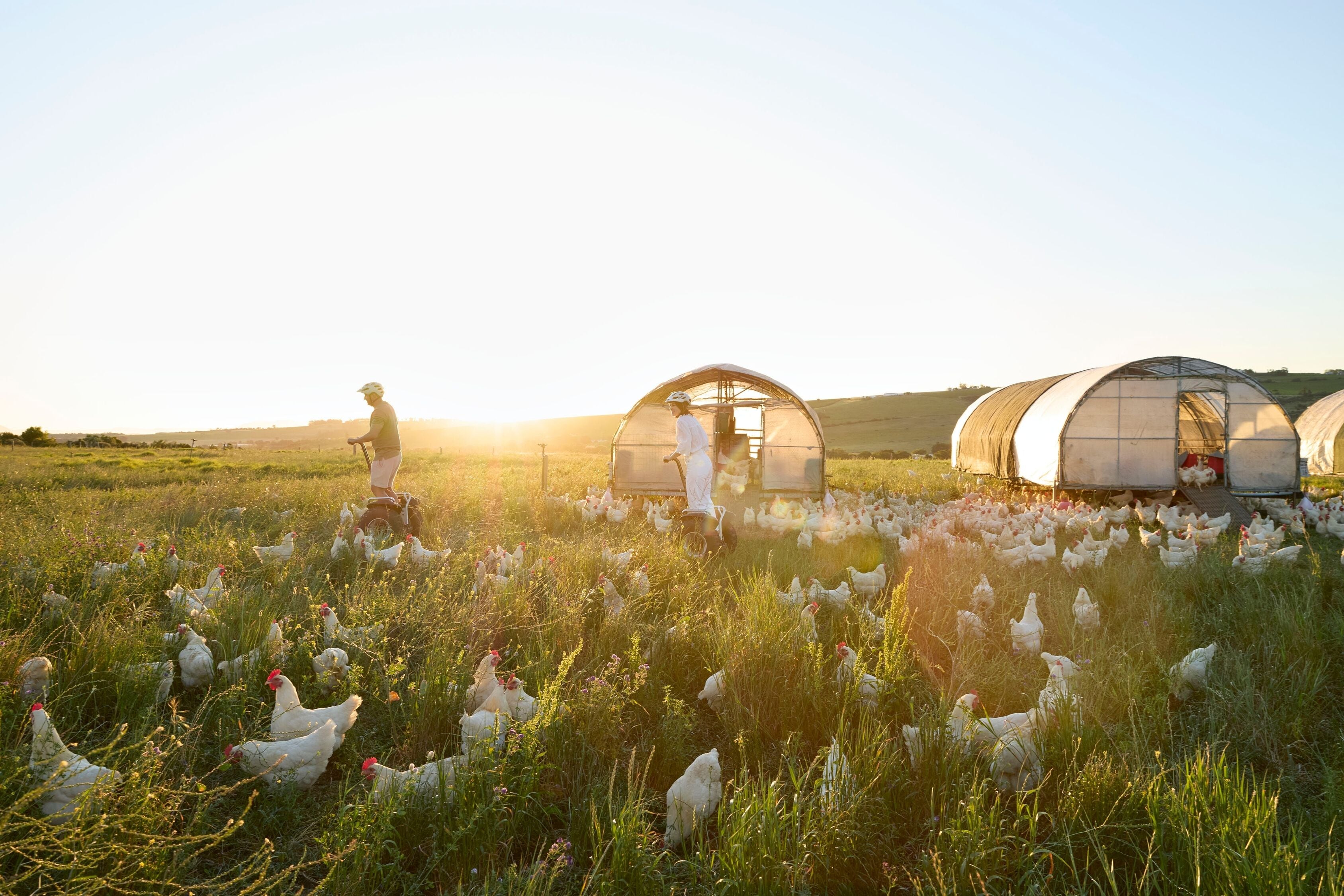 Photo - Spier Hotel and Wine Farm