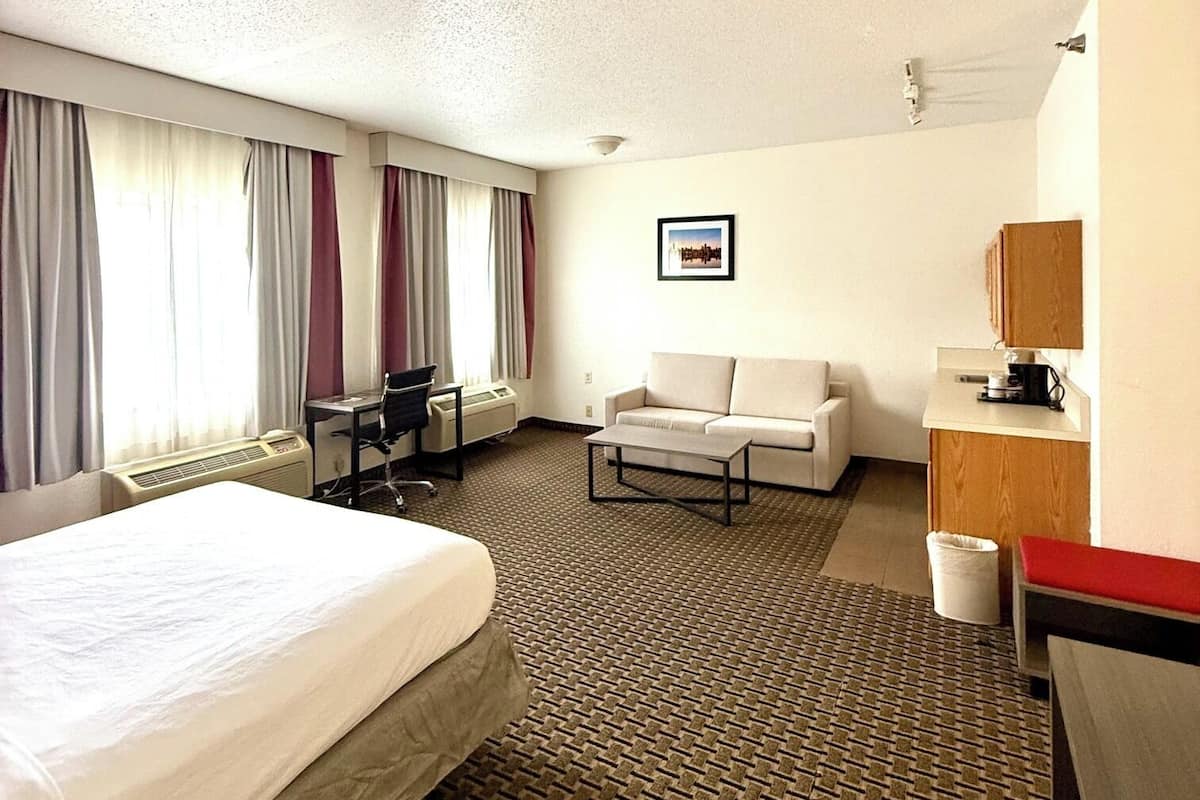 A hotel room with a bed, a desk, a sofa, a coffee maker, and a waste bin.
