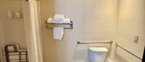 A small bathroom with a toilet, a shower curtain, a towel rack, and a handrail.