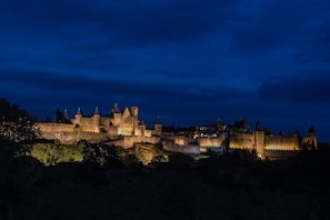 Vista desde la propiedad