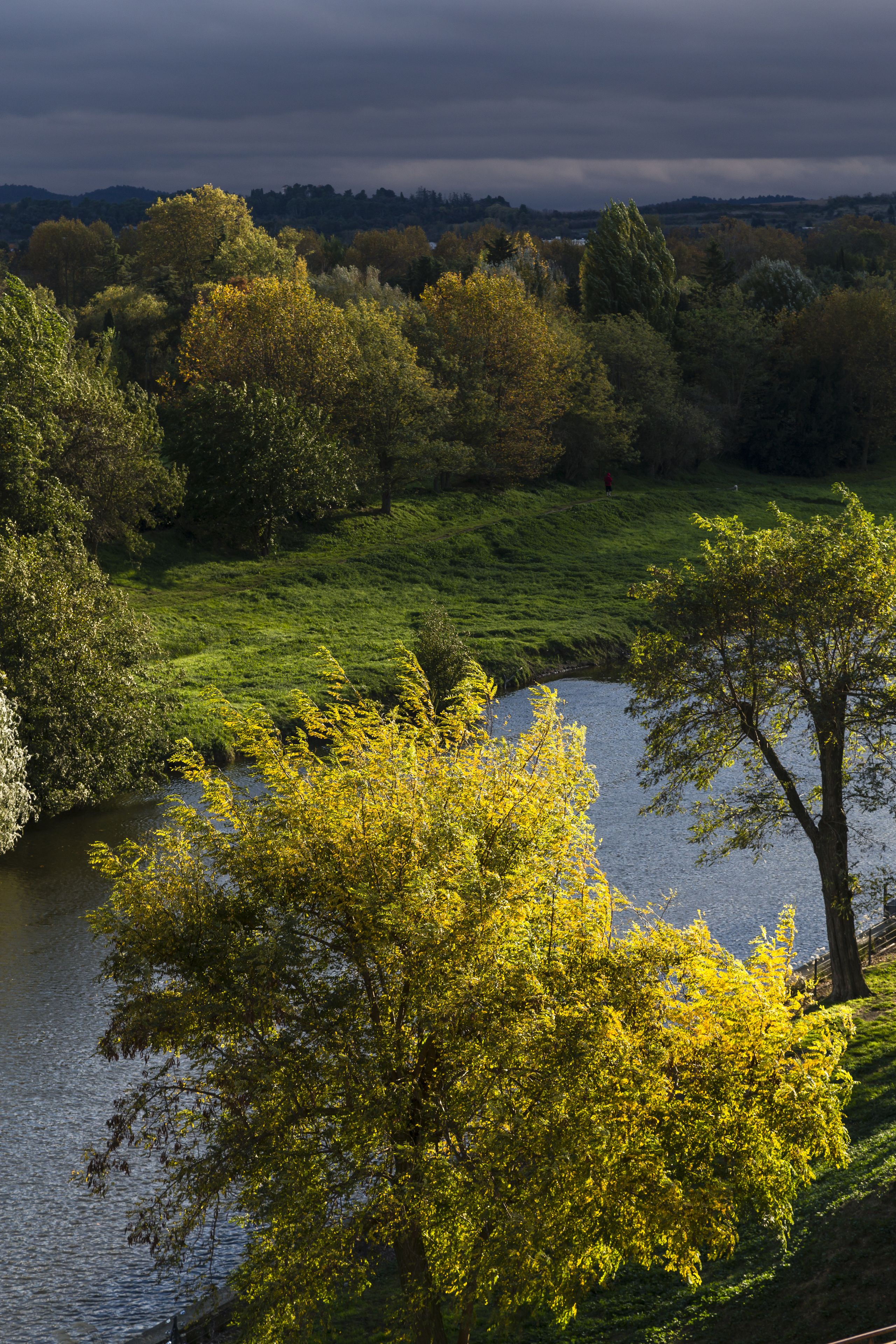 Un río con orilla cubierta de hierba y árboles.