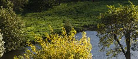 Un río con orilla cubierta de hierba y árboles.