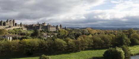 A historic castle with a moat, surrounded by lush greenery and a river.