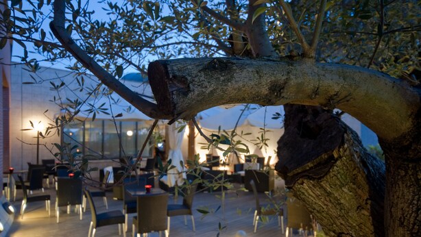 An outdoor dining area with tables and chairs, surrounded by trees and a building with large windows. - Hotel Roma Aurelia Antica (Rome)