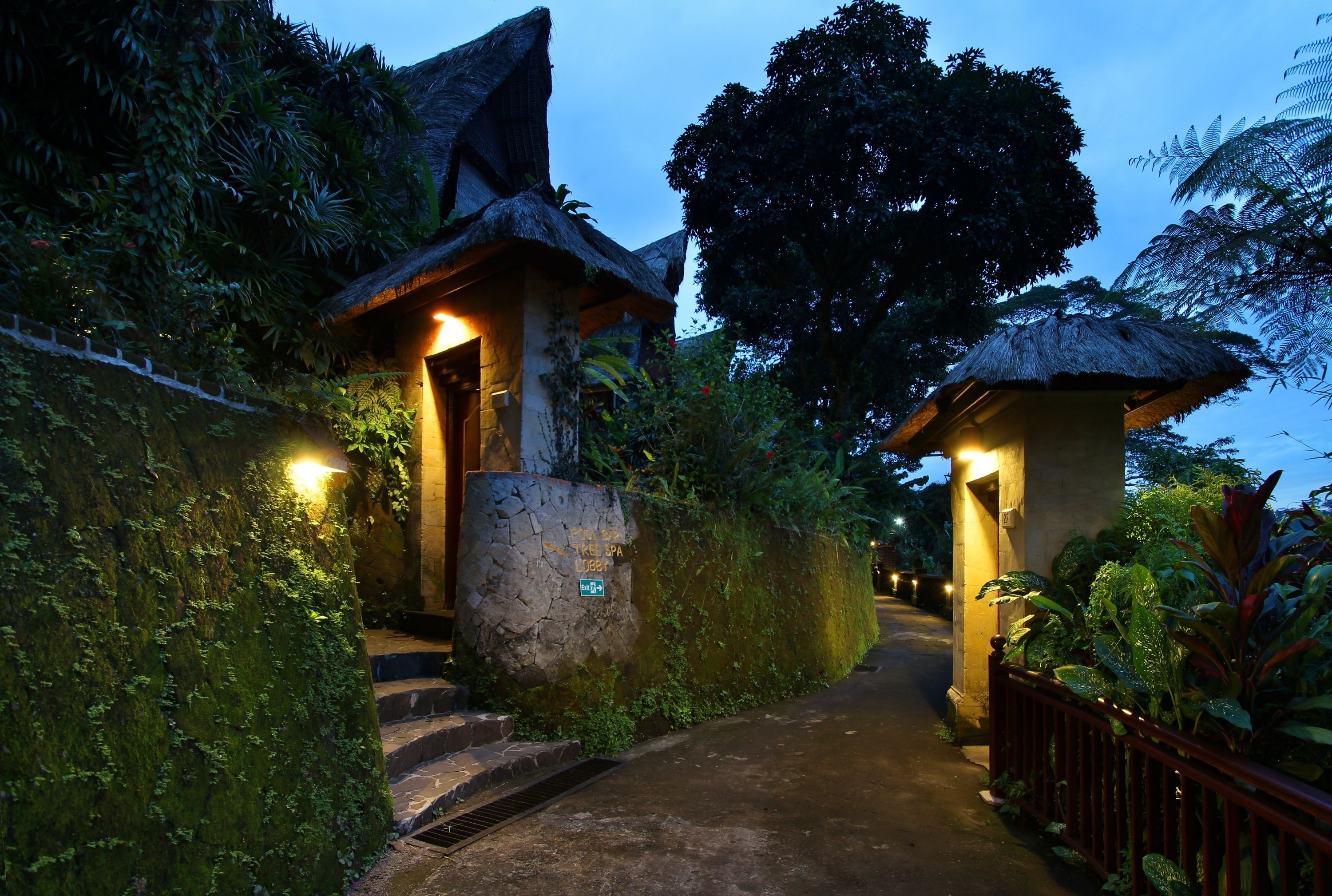 A pathway leading to a building with a thatched roof, surrounded by lush greenery and a stone wall.