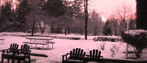 Jardin