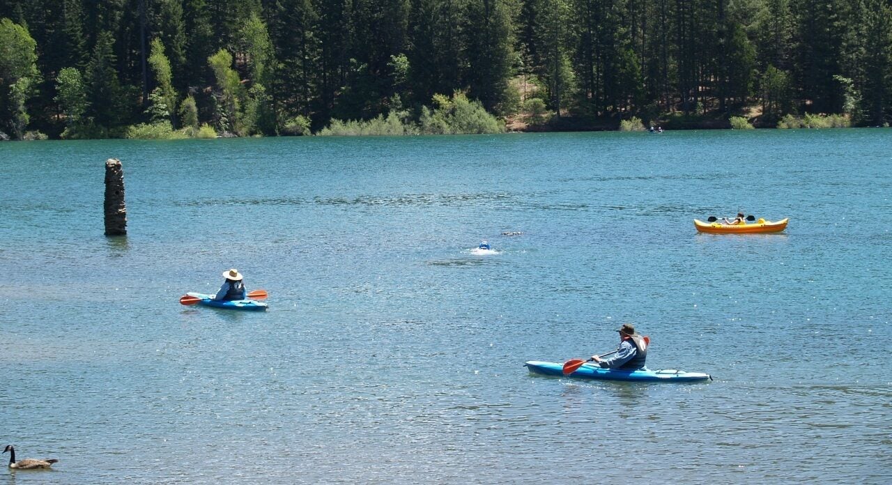 Kayakistas en un lago tranquilo con un denso bosque al fondo.