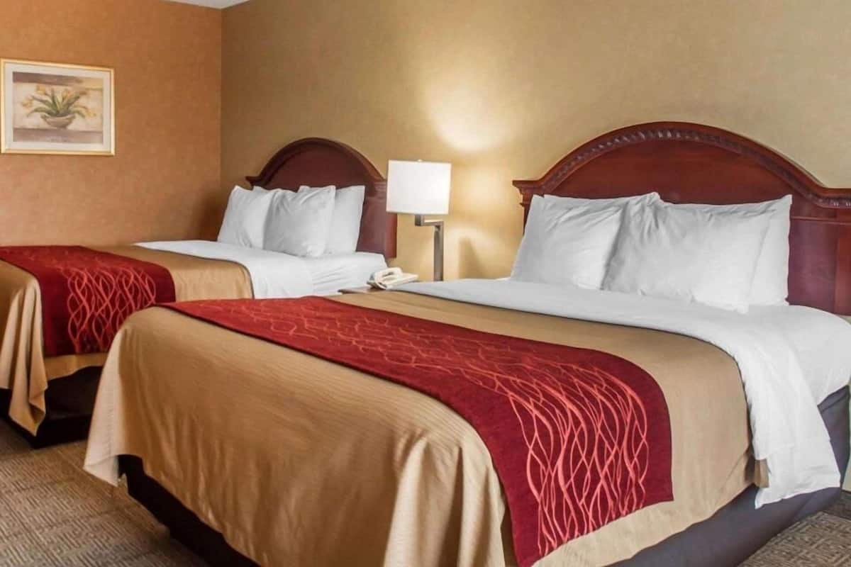A hotel room with two beds, a nightstand with a lamp, and a framed picture on the wall.