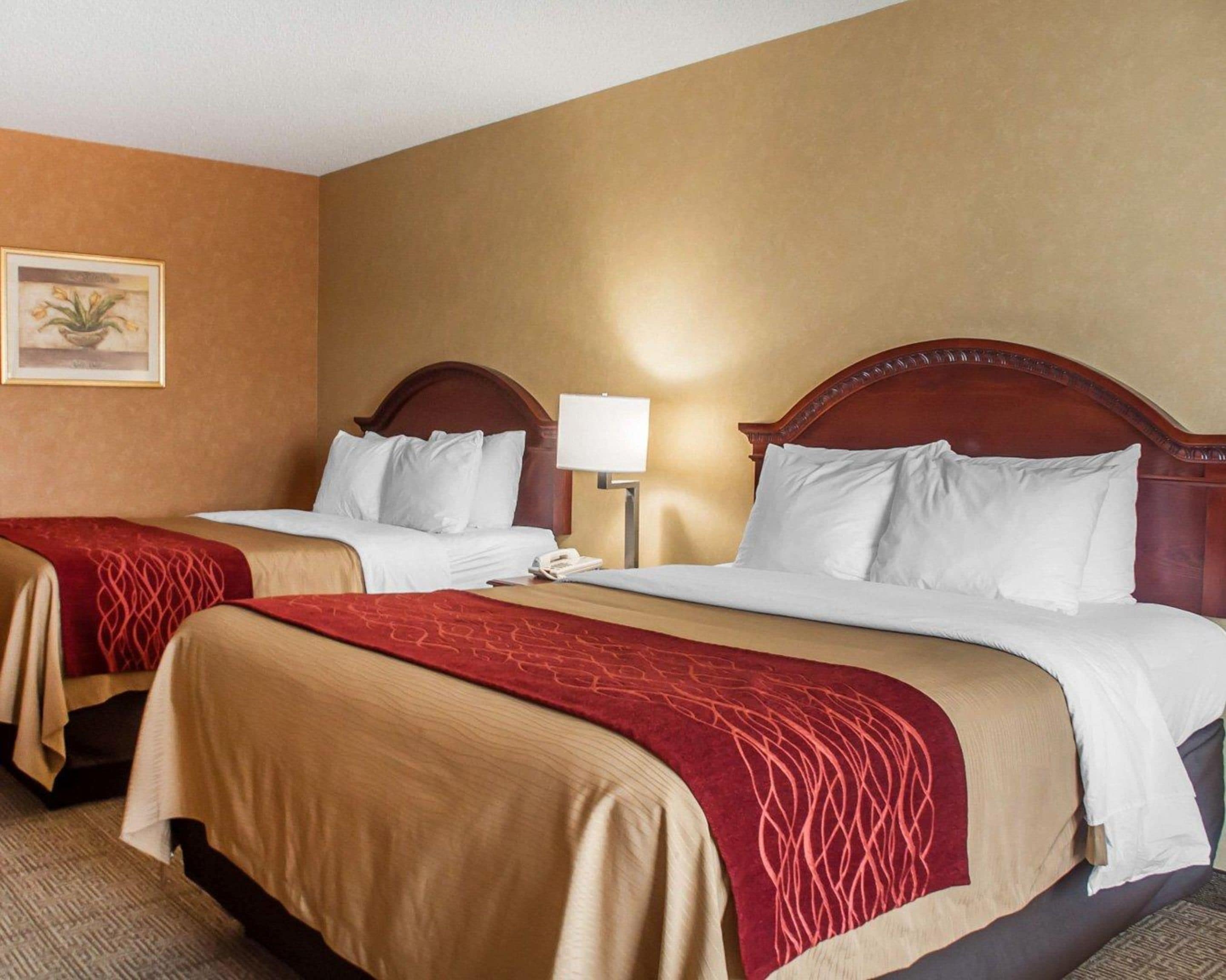A hotel room with two beds, each with a wooden headboard, white bedding, and a red throw blanket. There is a nightstand with a lamp and a framed picture on the wall.