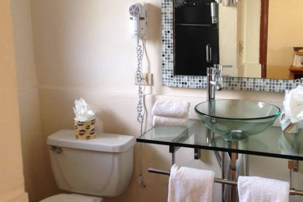 shower, eco-friendly toiletries, hair dryer, towels