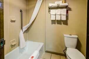 Bañera con ducha, artículos de tocador gratuitos, secador de pelo