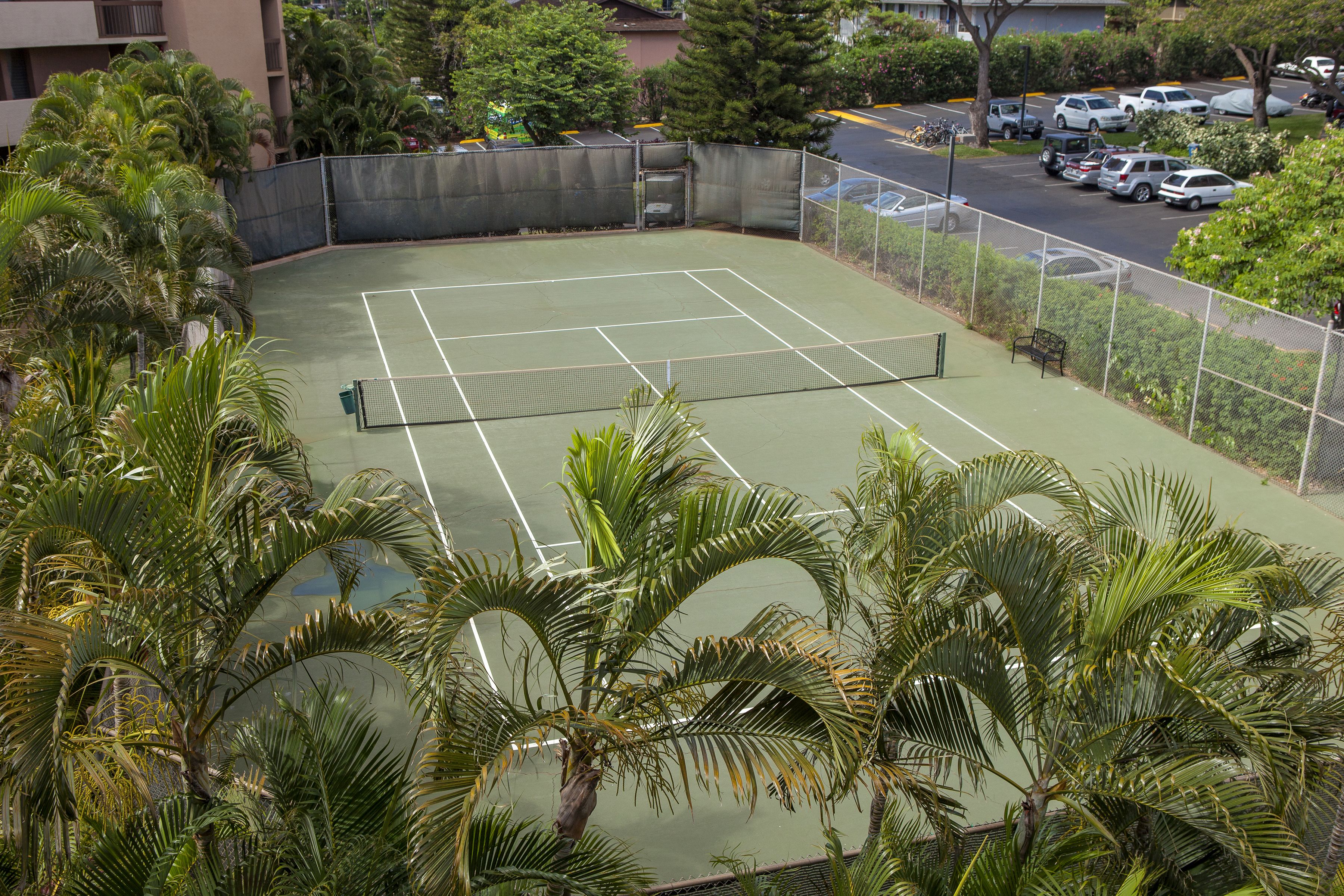 A tennis court surrounded by palm trees and a parking lot.