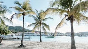 Una playa con palmeras, barcos y un muelle.