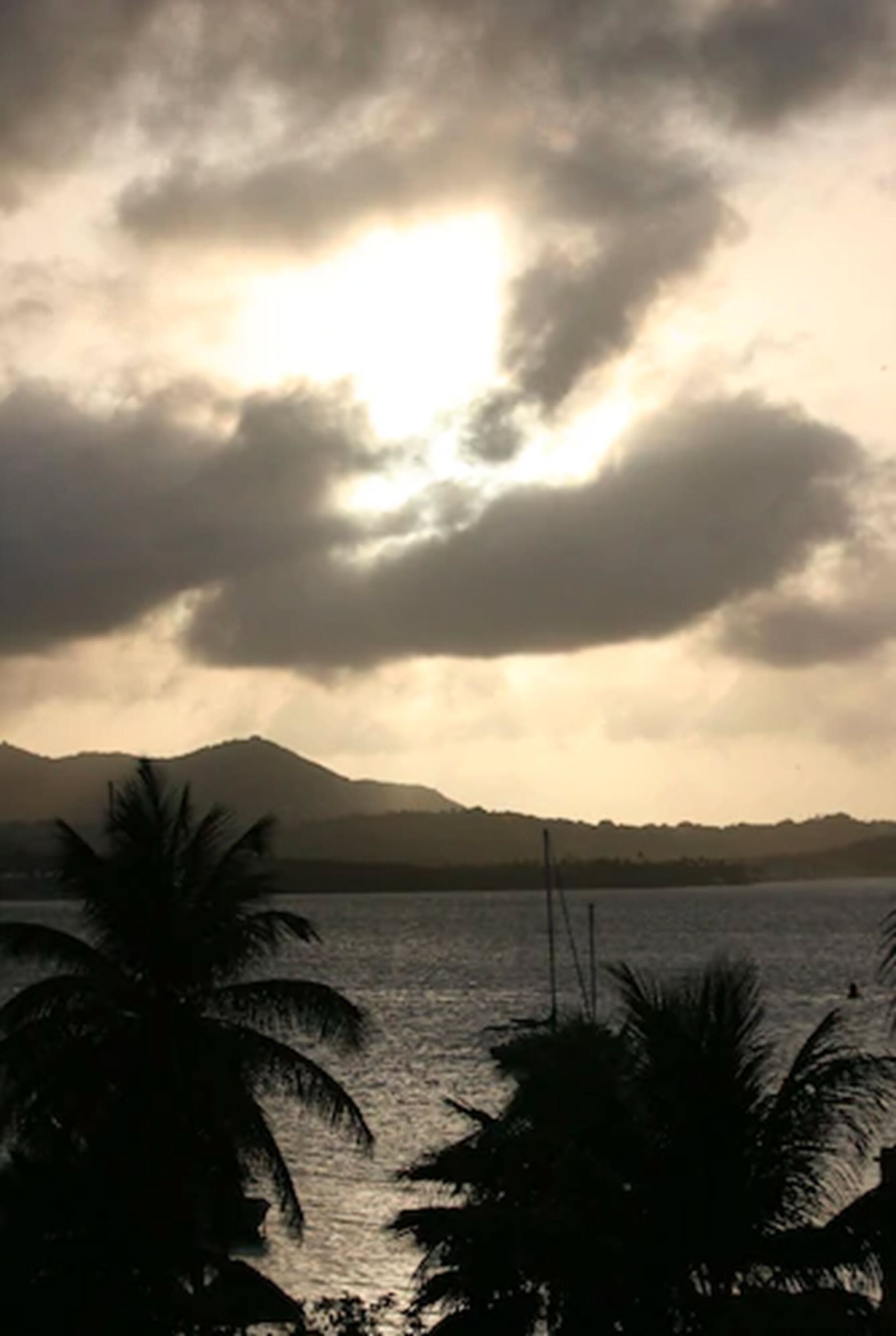 A coastal landscape with mountains in the background and palm trees in the foreground.