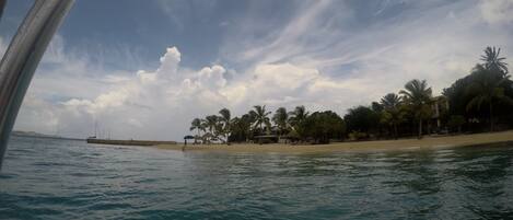 A beach with clear blue water, palm trees, and a sandy shore.