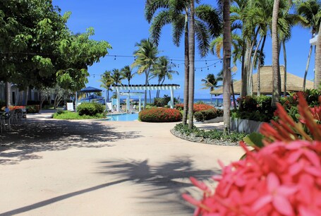 Embassy Suites by Hilton Dorado del Mar Beach Resort - Image 38