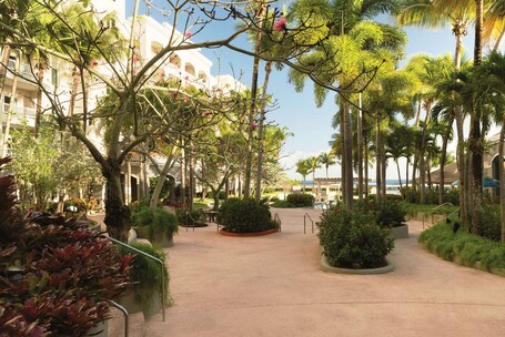 Embassy Suites by Hilton Dorado del Mar Beach Resort - Image 11