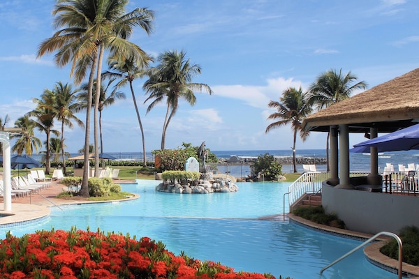 3 albercas al aire libre, sombrillas en la alberca y camastros