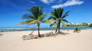 Una playa con palmeras y sillas de descanso.