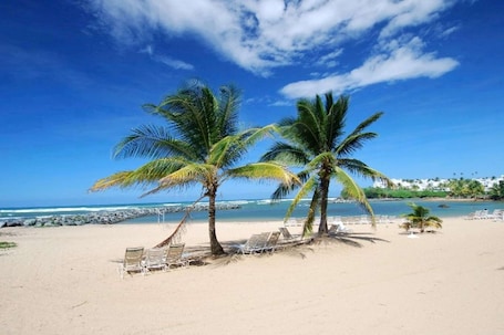 Embassy Suites by Hilton Dorado del Mar Beach Resort - Image 18