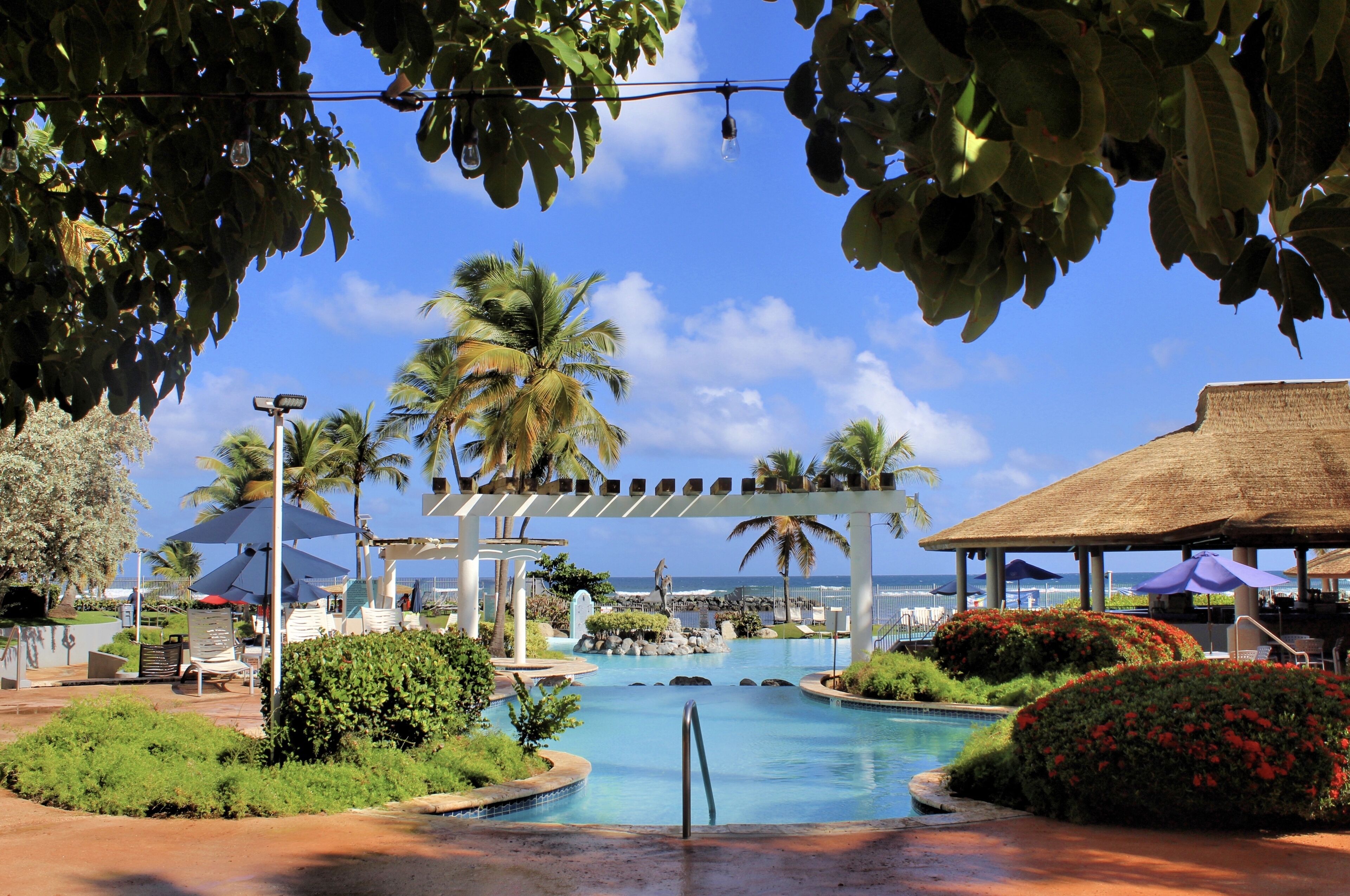 Zona de piscina en un resort, con palmeras, sombrillas y vista al océano.