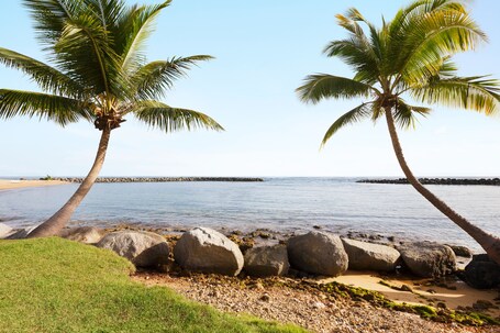 Embassy Suites by Hilton Dorado del Mar Beach Resort - Image 62