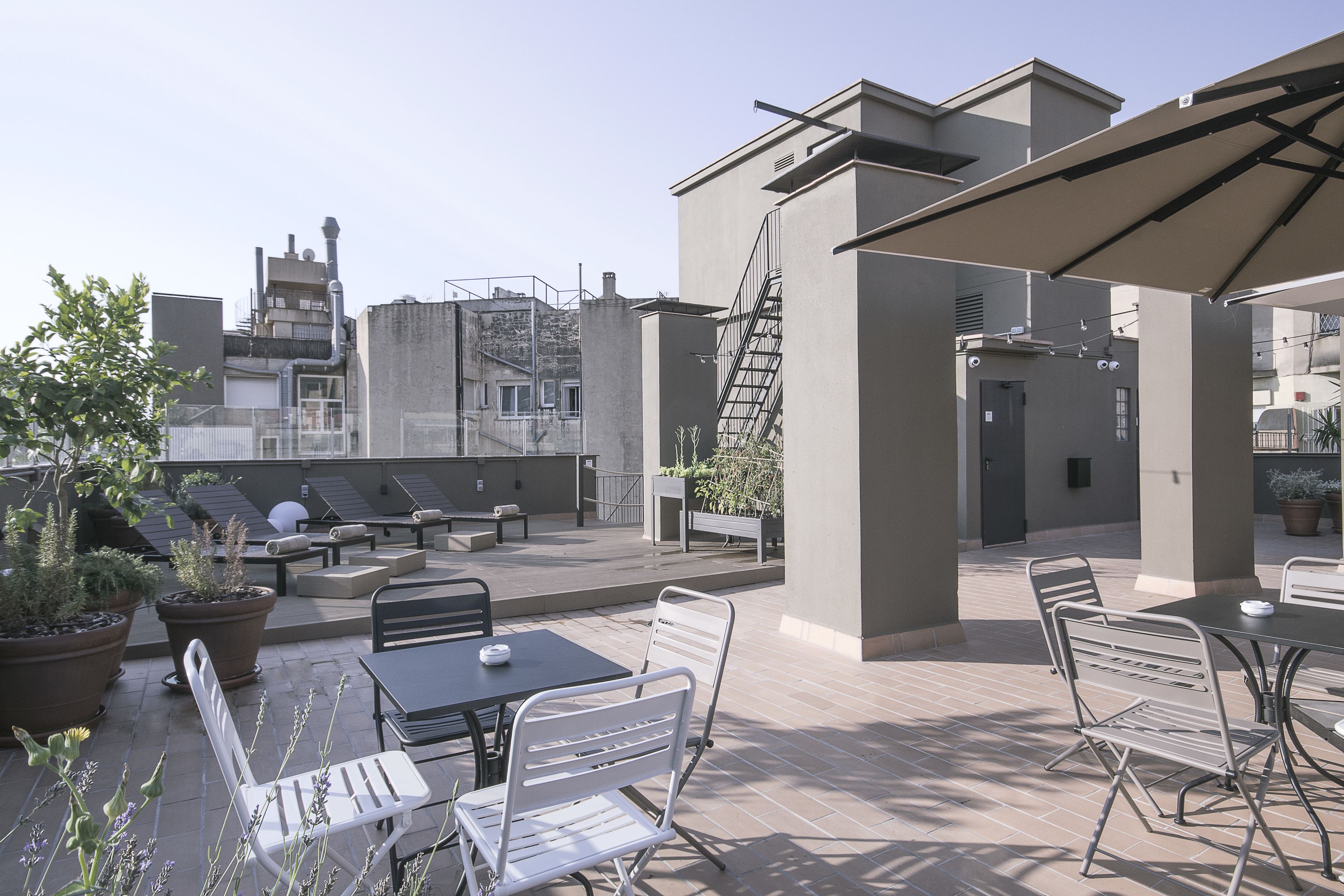 Foto - Pol & Grace Hotel