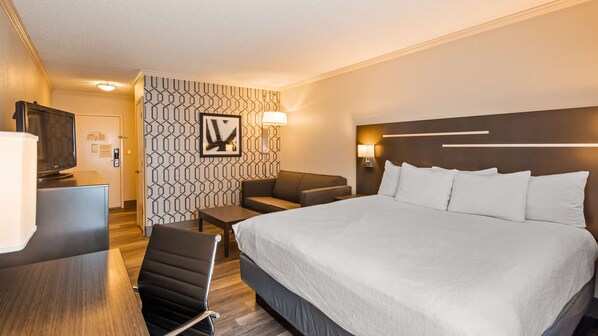 Business Room, 1 King Bed, Non Smoking, Refrigerator (with Sofabed)