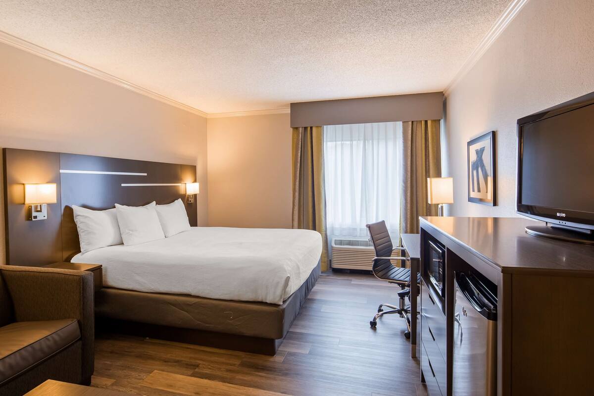 A hotel room with a bed, a sofa, a desk with a flat-screen TV, and a window with curtains.