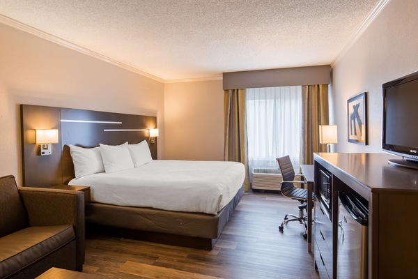 Business Room, 1 King Bed, Non Smoking, Refrigerator (with Sofabed) | In-room safe, blackout drapes, iron/ironing board