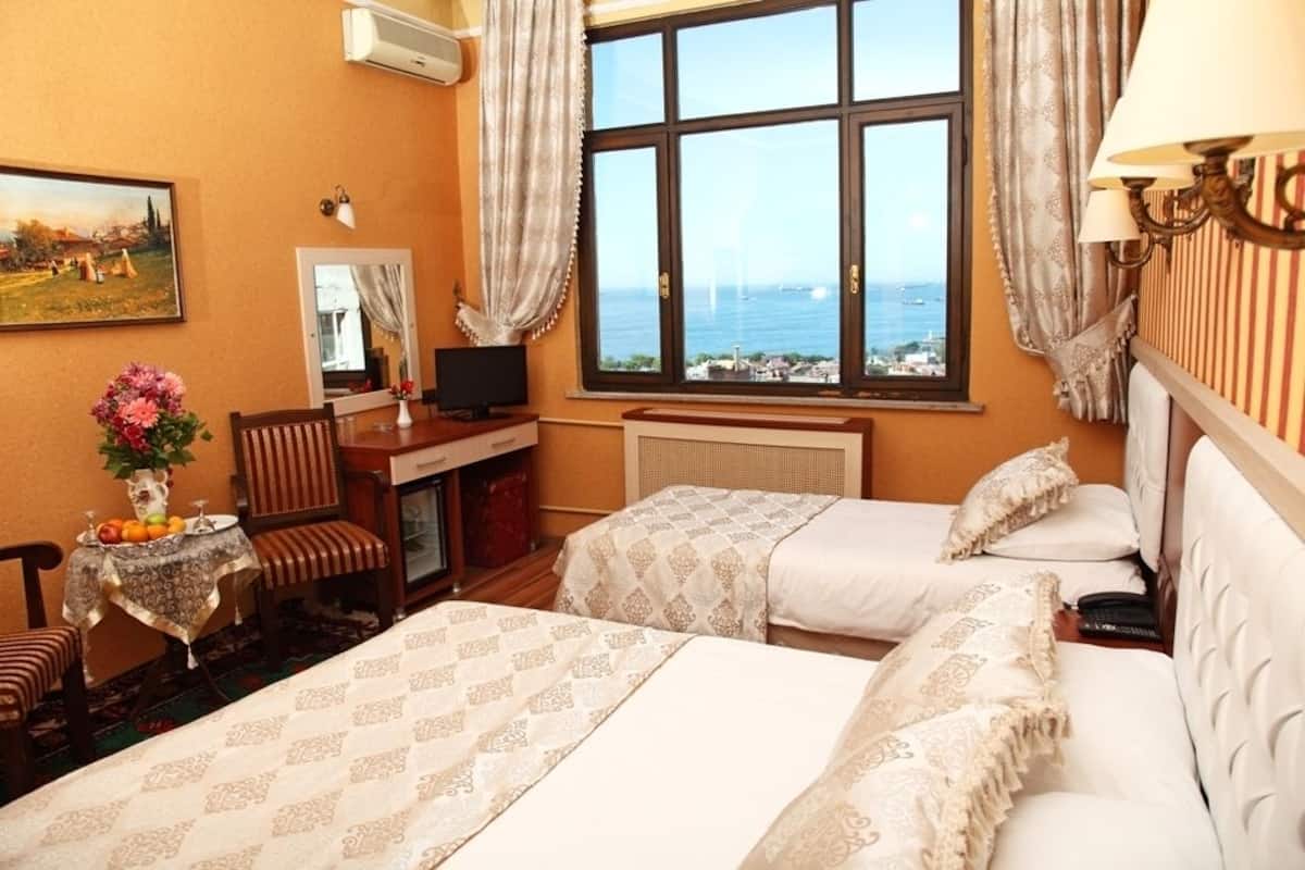 Standard Double or Twin Room | Minibar, desk, iron/ironing board (on request), cribs (free)