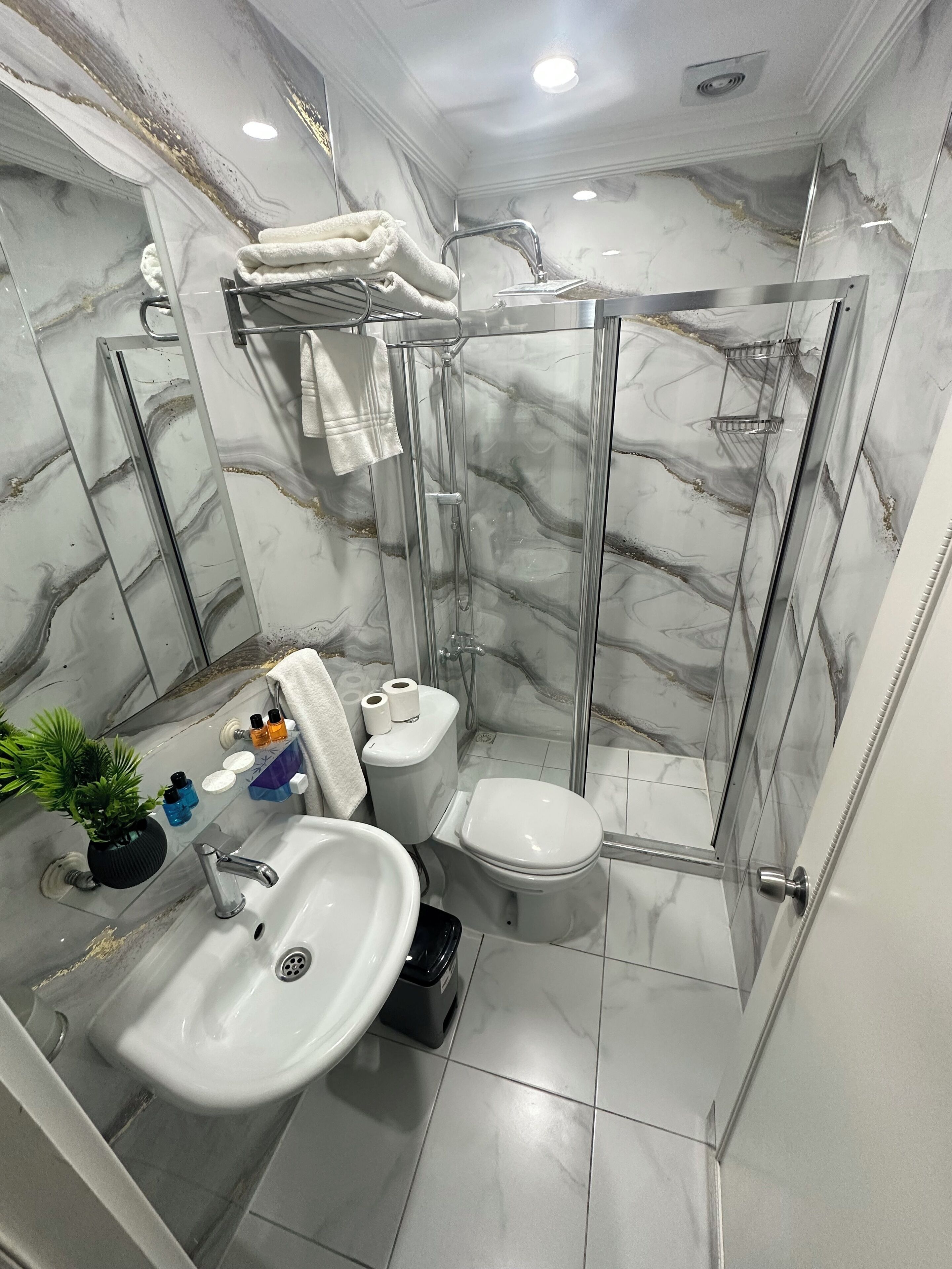 Une salle de bain avec une douche à parois de verre, un lavabo, des toilettes et un miroir.