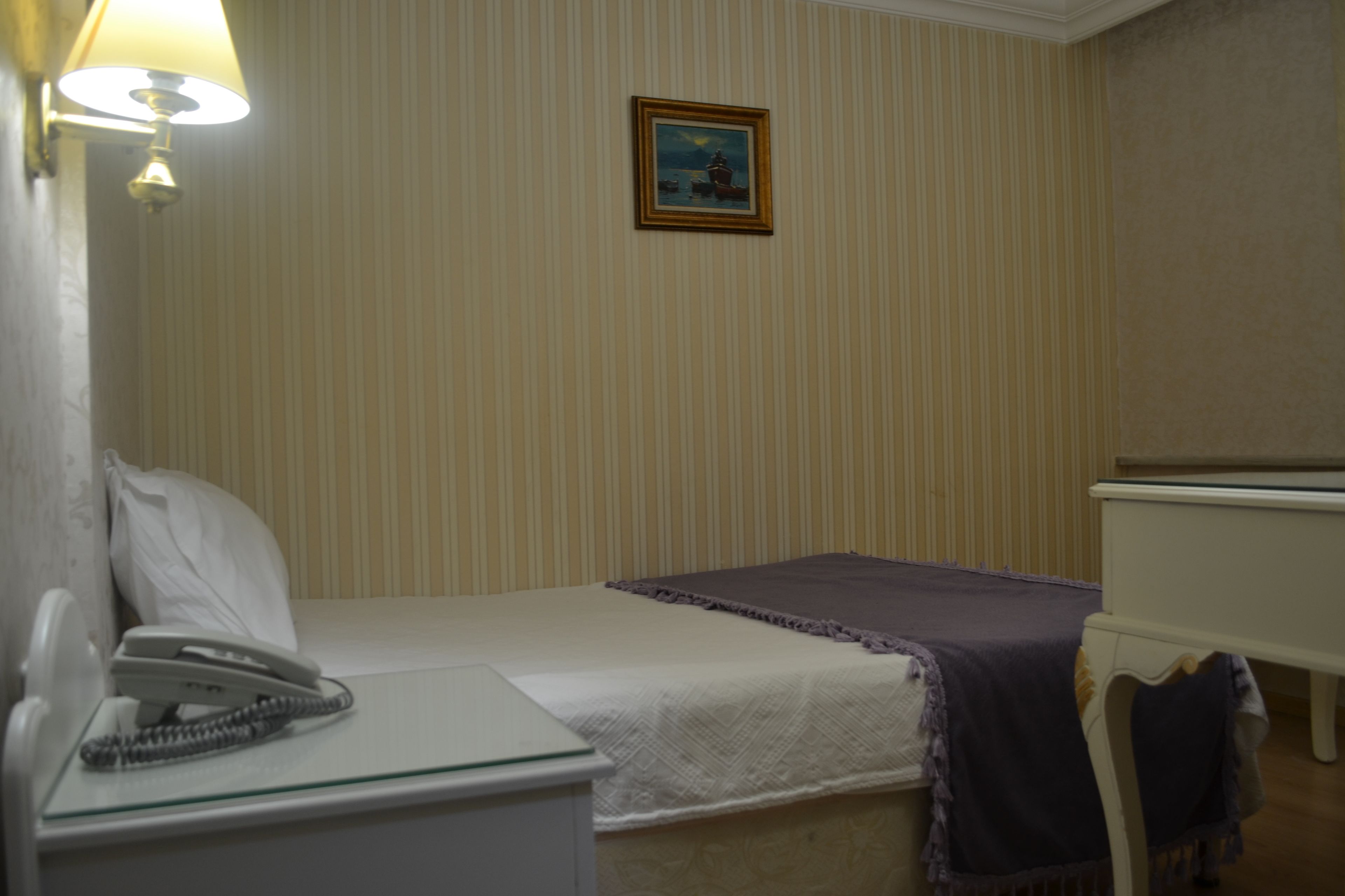 A hotel room with a single bed, a bedside table with a lamp, a telephone, and a framed picture on the wall.