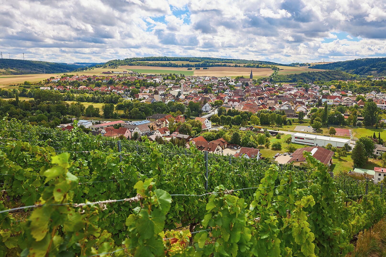 Un vignoble avec des rangées de vignes au premier plan, une ville avec des bâtiments aux toits rouges au milieu, et une colline avec des éoliennes à l’arrière-plan.