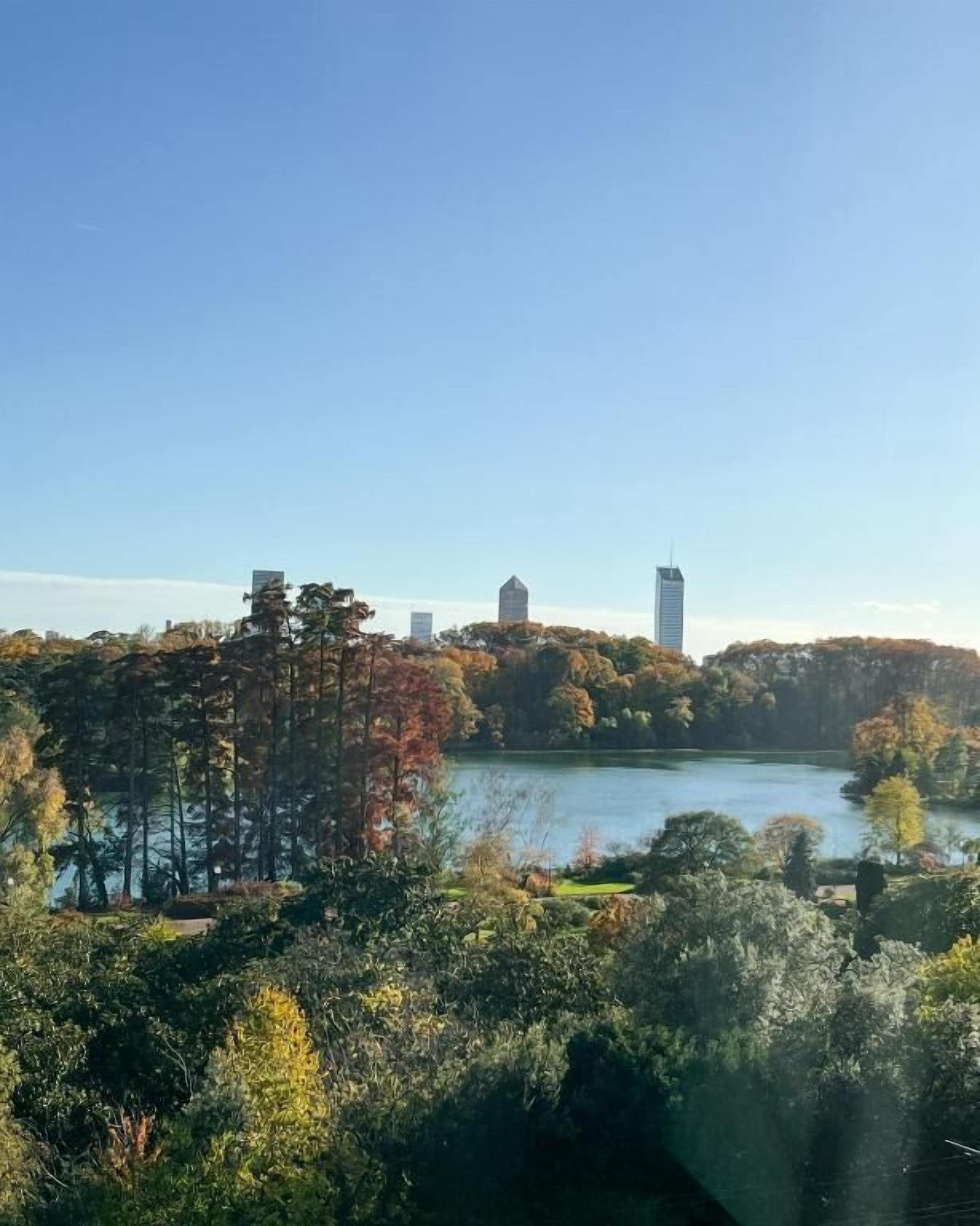 Un parque con un lago, árboles y edificios al fondo.
