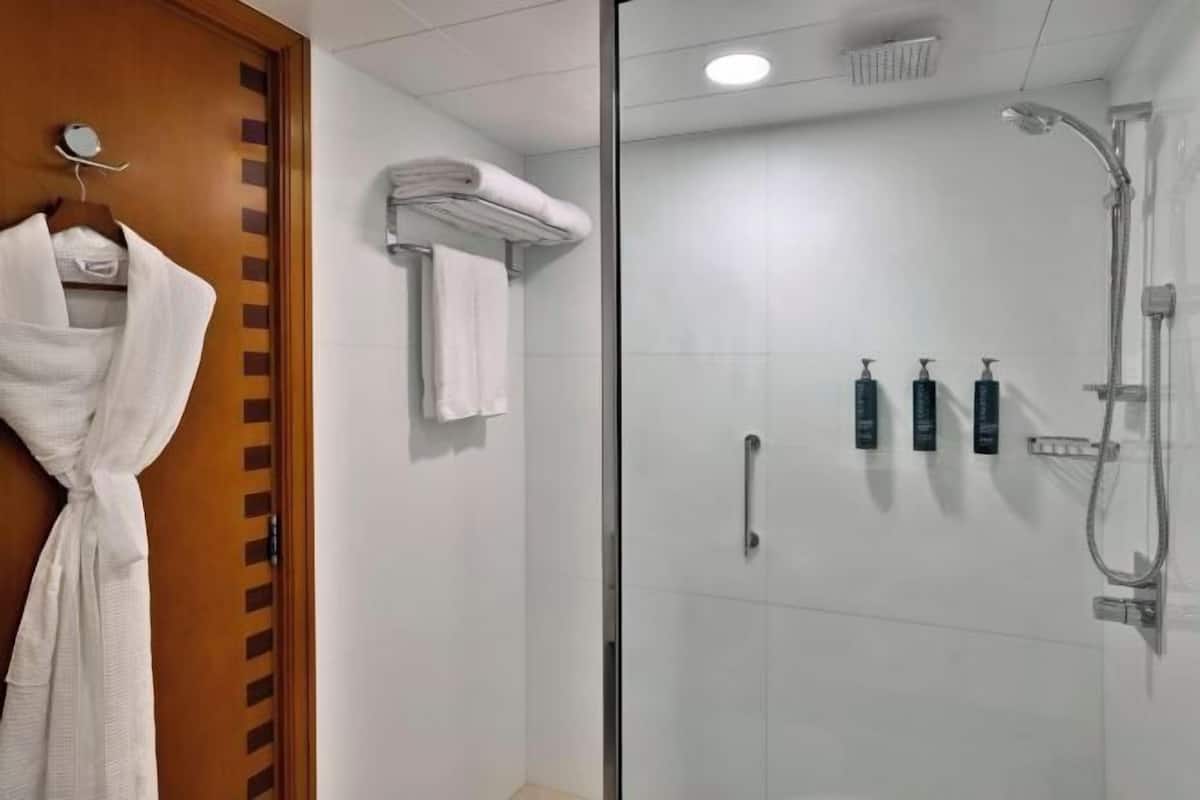 Free toiletries, hair dryer, bathrobes, towels