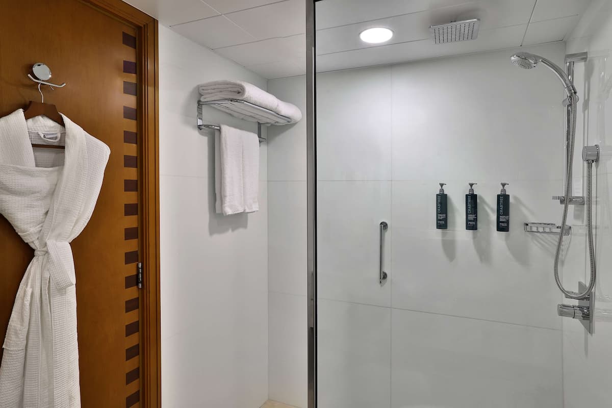 Free toiletries, hair dryer, bathrobes, towels